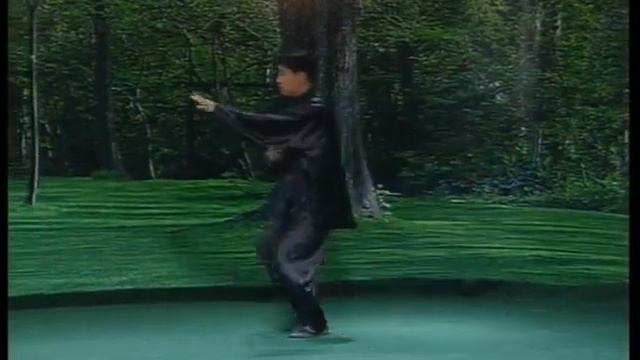 Beijing BaguaZhang 64-hands 4/8 смотреть онлайн