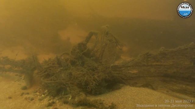 2023_05_20 - 21 - Выходные в теплом Десногорске смотреть онлайн