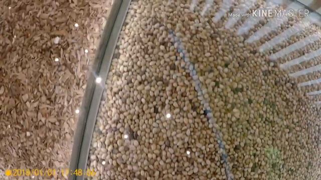 Павильон Нур Алем,НАСЛЕДИЕ EXPO 2017. смотреть онлайн