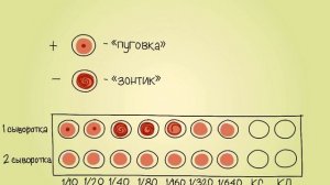 Реакция торможения гемагглютинации в парных сыворотках