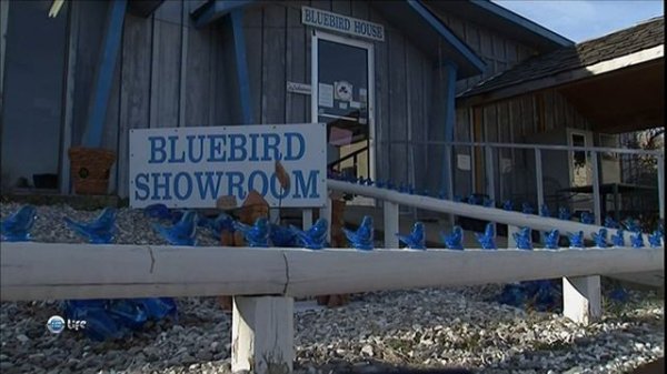 Все об Америке: Арканзас / Discoveries... America: Arkansas