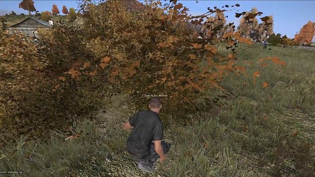 GRENADE OF DEATH DayZ смотреть онлайн