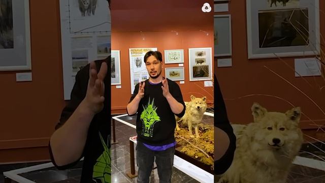 Государственный Дарвиновский музей приглашает! смотреть онлайн