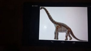 Диплодок и Брахиозавр