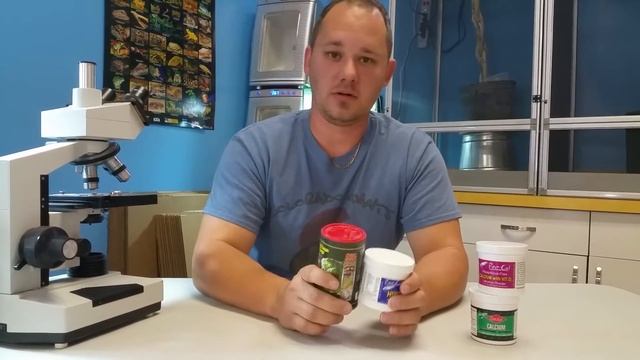 How to Correctly Supplement Your Chameleon смотреть онлайн