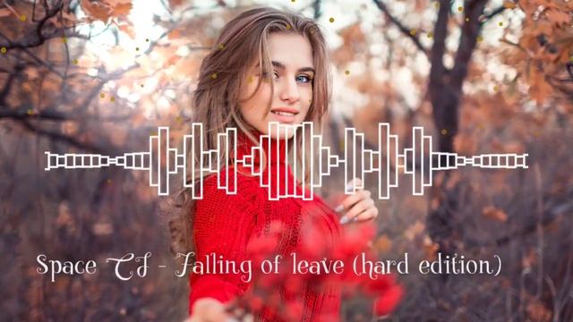 Space CJ - Falling Of Leave (hard Edition)