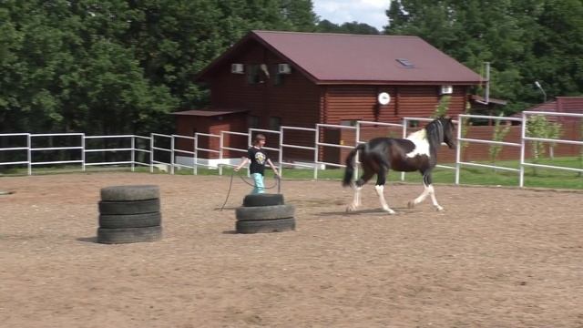 Семинар "В гармонии с лошадью" в Чебоксарах смотреть онлайн