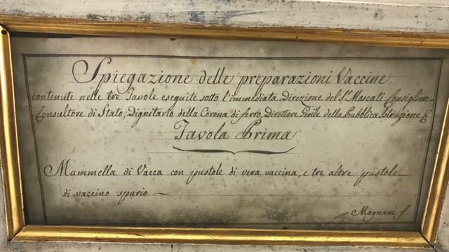 Tesori dal Passato – Le patologie virali nei modelli in cera | Sistema Museale di Ateneo смотреть онлайн