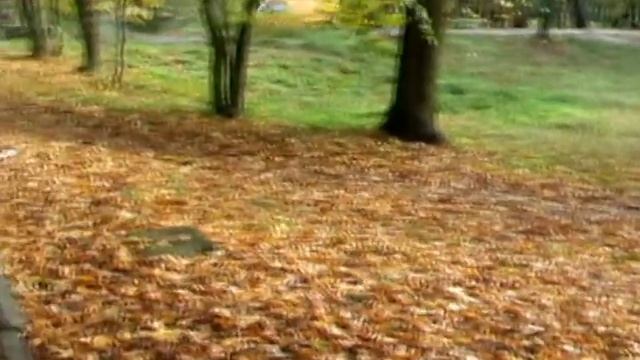 Тильзит. Парк Вехтера. смотреть онлайн