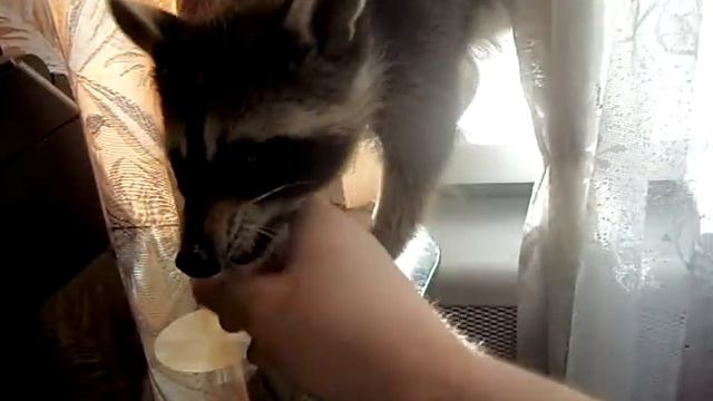 ТЕАТР ТЕНЕЙ смотреть онлайн