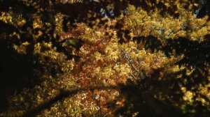 Cила позитивного мышления: как достичь успеха в жизни в 2023