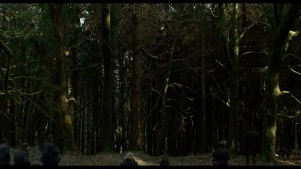 Официальный трейлер Лобстер The Lobster (2015)