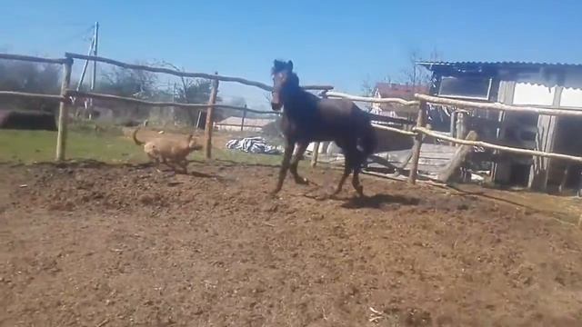 Форт 5.05.2016г. 1 смотреть онлайн