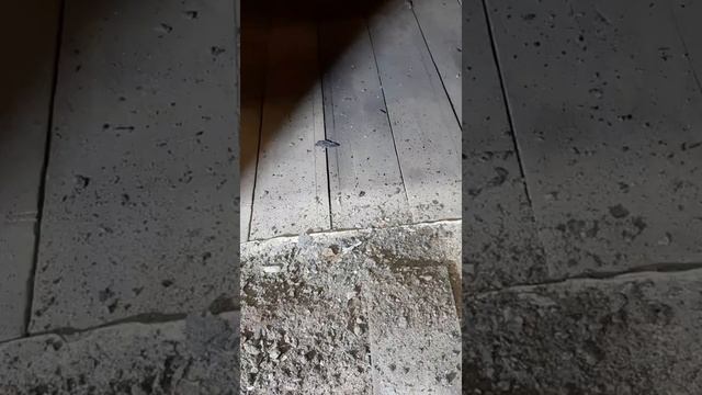 Кингисепп. Volkswagen Passat B5. Ремонт порога.