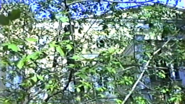 Тереля 1994 год смотреть онлайн