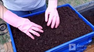 АТ258 Заселение коконов червей в Вермикомпостер