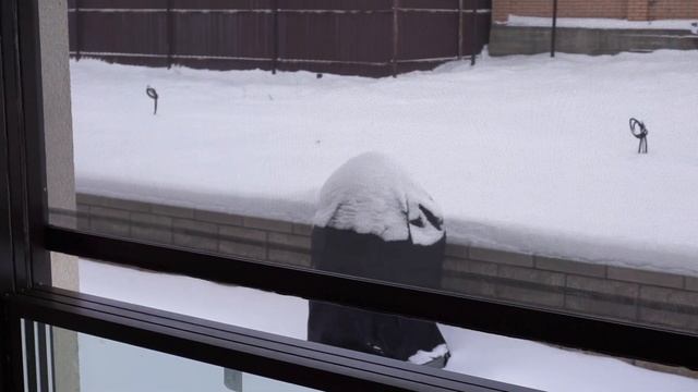 Вертикальное остекление W500 с антимоскитной сеткой в системе ZIP 100 смотреть онлайн