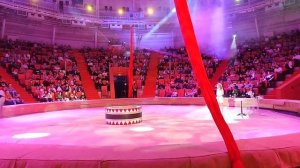 🐘🐘СЛОНЫ ВОЗВРАЩАЮТСЯ: Встреча в Астраханском цирке (программа «ДЕВОЧКА И СЛОН»)// Superstar²