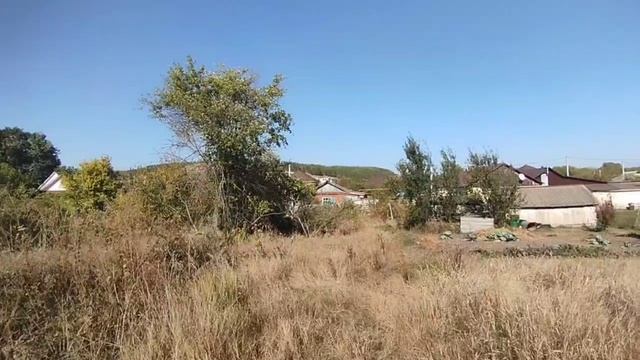 11524556 смотреть онлайн