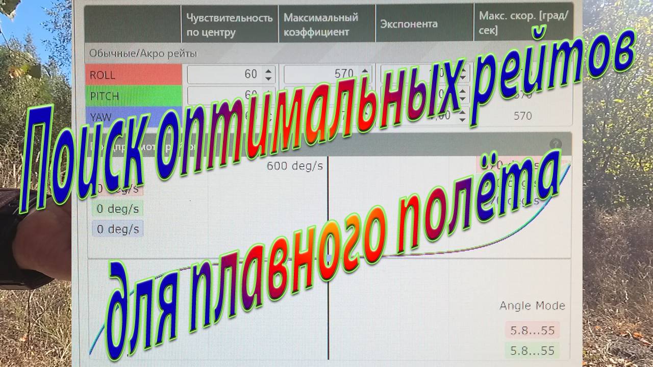 Поиск оптимальных рейтов для плавного лета смотреть онлайн