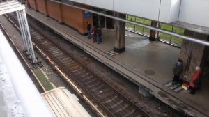 Филевская линия метро Смоленский метромост поезд типа Русич