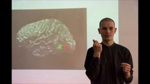 Николай Комягин в МИСП