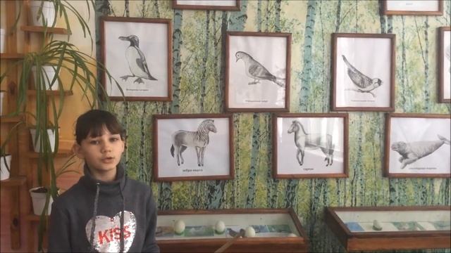 Музей смотреть онлайн