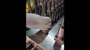 Замена пуансона на пресс форме для ПЭТ преформы 1х24 new