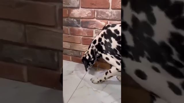 Кулинарное путешествие