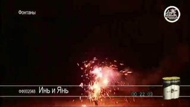 ФФ002048 Инь и Янь смотреть онлайн