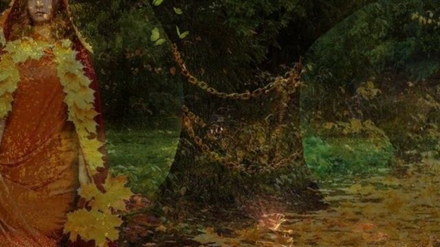 В дебрях заболоченных лесов… смотреть онлайн