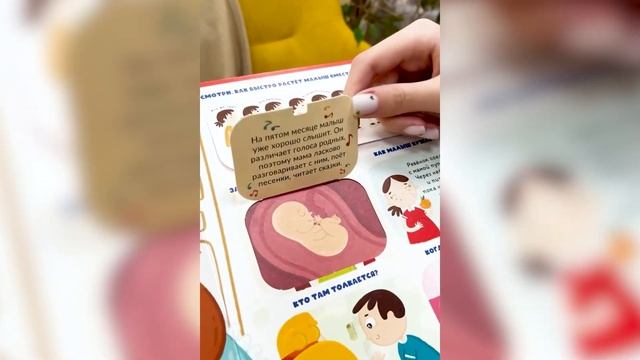 Моя первая энциклопедия с окошками Секреты тела человека смотреть онлайн