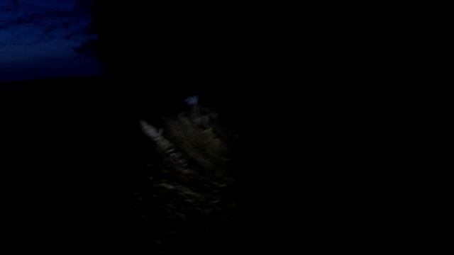 Перевожу пчёл с выездного точка смотреть онлайн