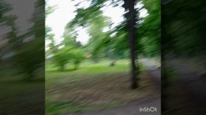 Усадьба Асеевых В Тамбове