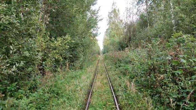 Узкоколейные поезда + продолжение прогулки по узкоколейке (часть II) смотреть онлайн