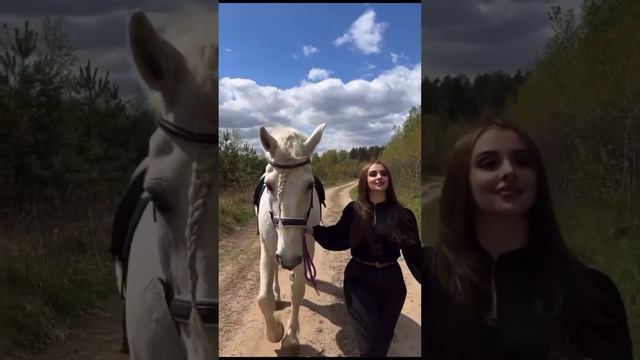 Чёрная роза .