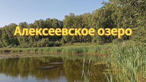 Алексеевское озеро. Новосибирская область. Новосибирский район, Природа Новосибирской области.
