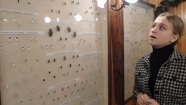 Экскурсия в энтомологический музей смотреть онлайн