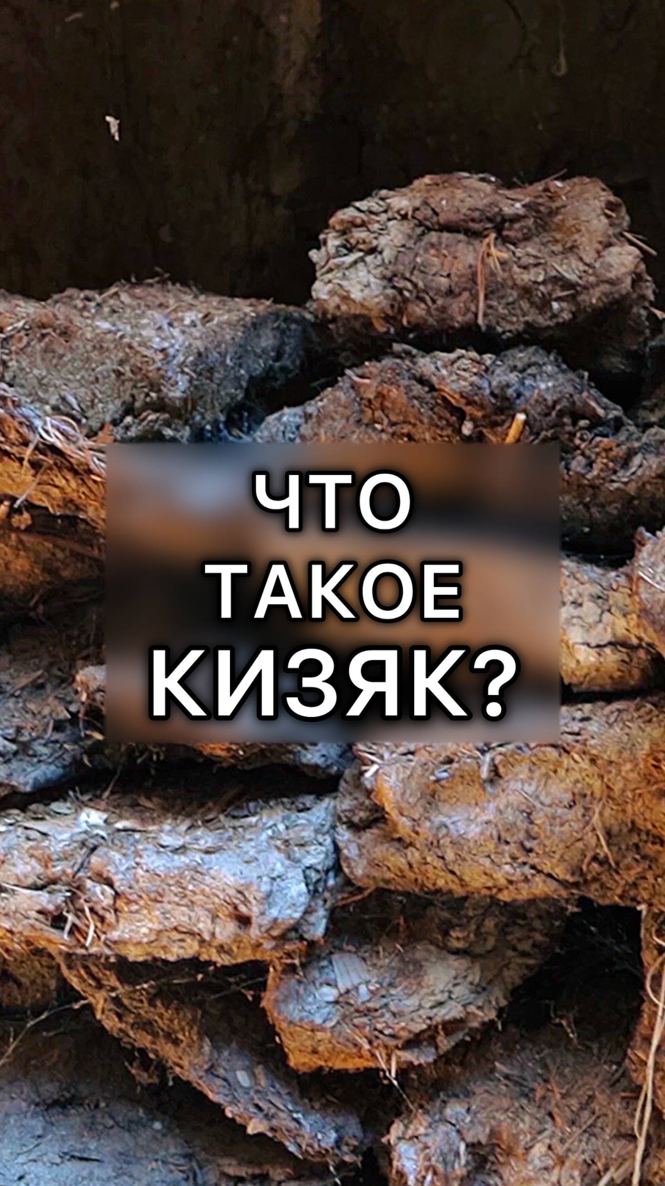 Кизяк - природное биотопливо! смотреть онлайн