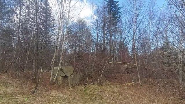 История освобождения Сахалина от японских захватчиков, 50 параллель Смирных #сахалин #история смотреть онлайн