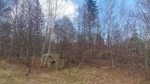 История освобождения Сахалина от японских захватчиков,  50 параллель Смирных #сахалин #история