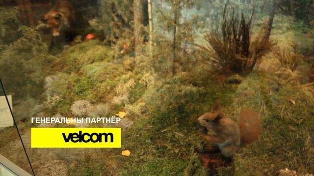 Velcom. 1000 музеяў Беларусі. Музей Вавёркі