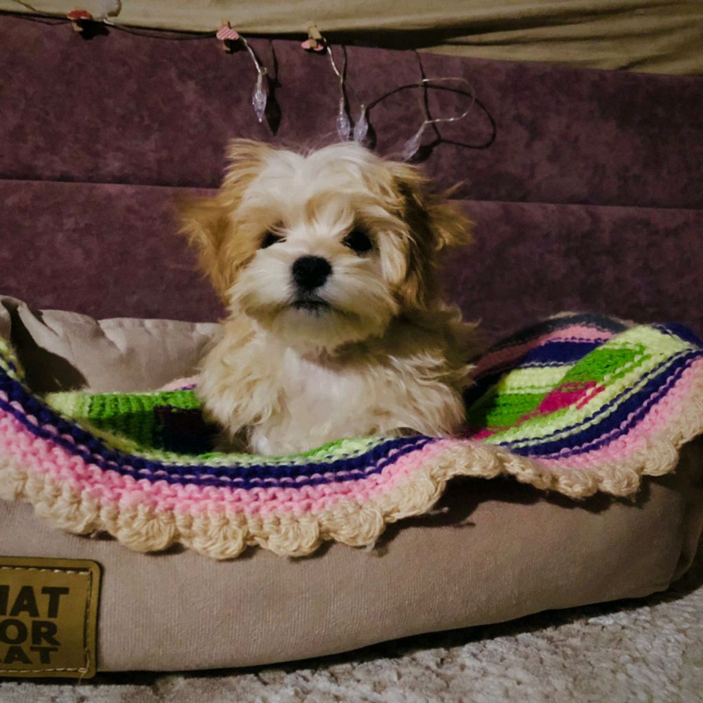 ем смотреть онлайн