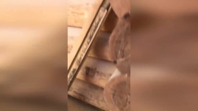 Музей в Абдрахманово. Часть 3 смотреть онлайн