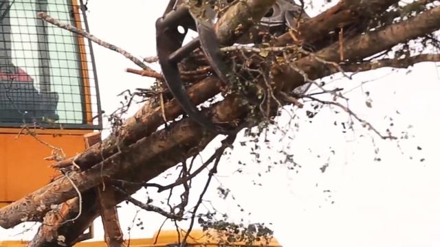 В национальном профцентре прошел съезд профсоюза работников леса и природопользования смотреть онлайн