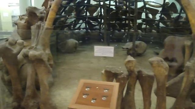 Национальный научно-природоведческий музей НАН Украины, Киев смотреть онлайн