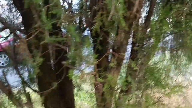 Прогулка в Геленджике по Советской, Пионерской, Островского  ASMR #walkingtour