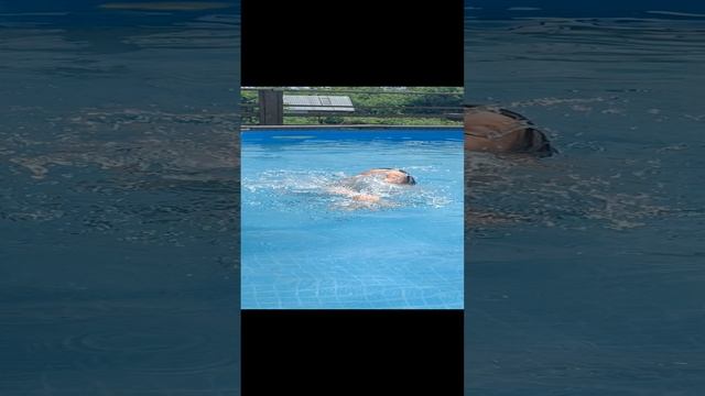 Учусь плавать