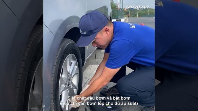 Michelin Tire Repair Kit 12V - 5818 смотреть онлайн