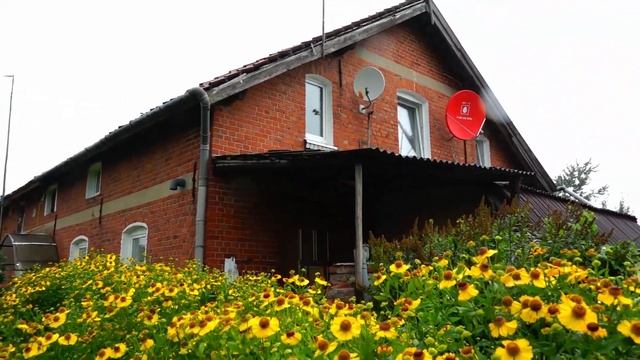 Первые переселенцы